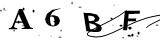 Write the text from the image