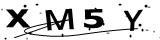Write the text from the image